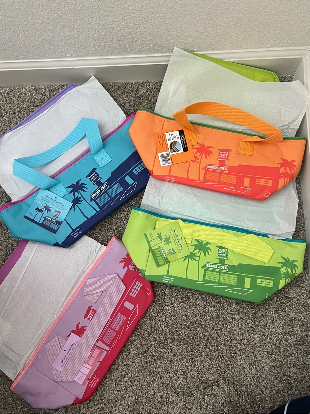 Trader Joe's insulated mini bag